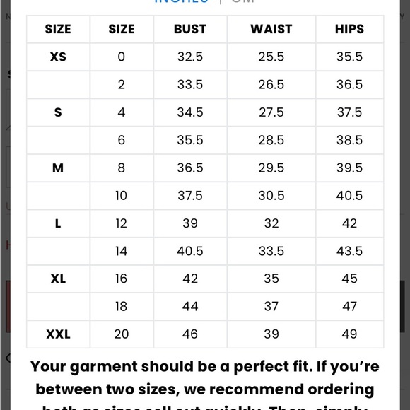 Adrianna Papell Beaded Sequin V-Neck Sleeveless Gown | Formal Dress Size 12 - Picture 12 of 12